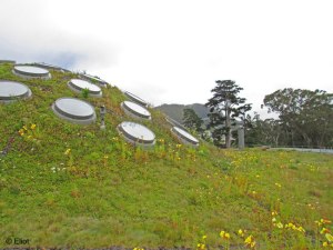 Academy of Science green roof, San Francisco